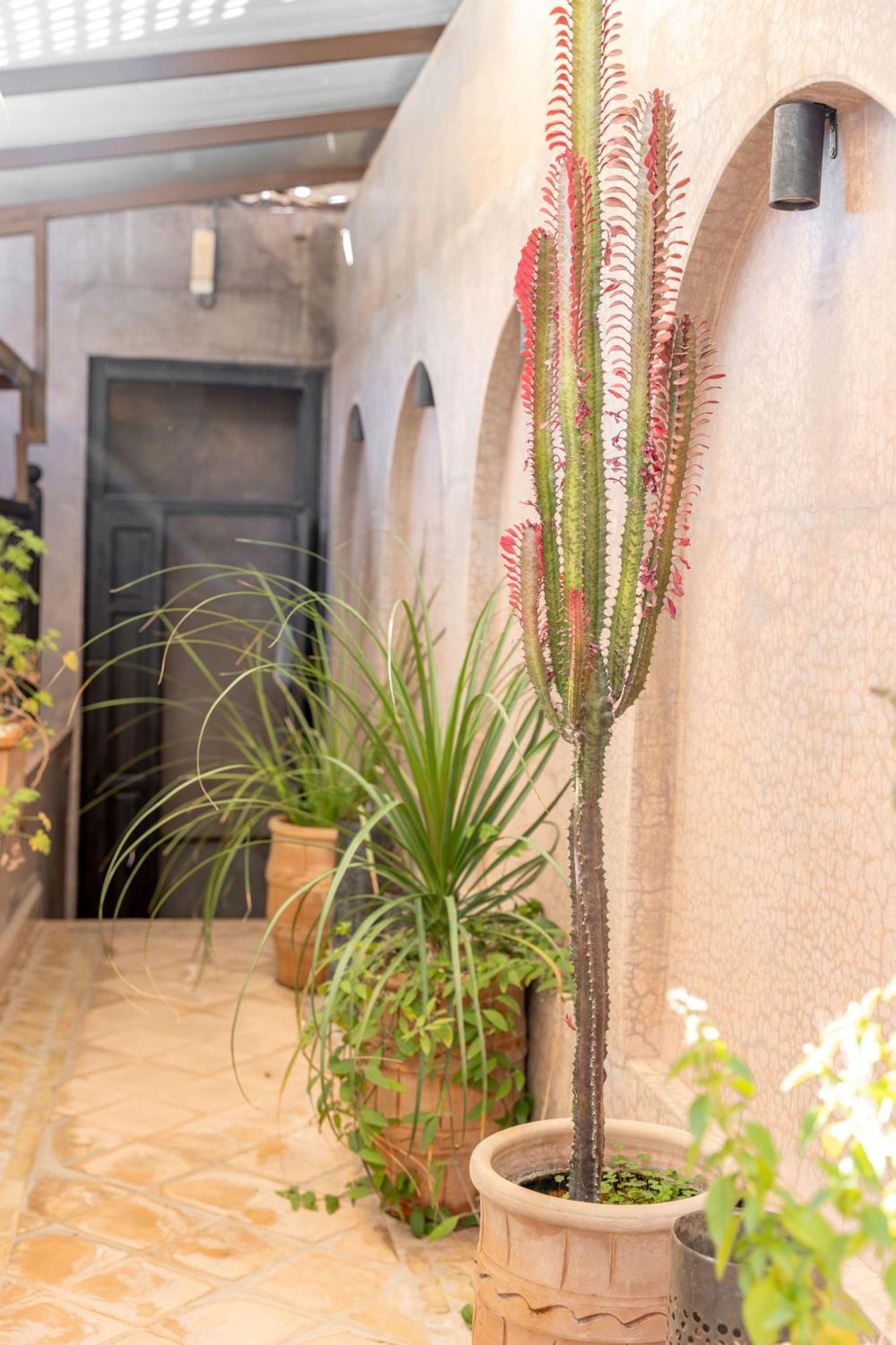 Dar Beija Bed & Breakfast Marrakesh Eksteriør bilde